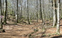 ''la fageda'' i ''santa pau''