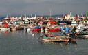 fotos de o grove galicia