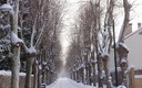 Nieve y frío.