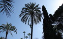 Parque de Maria Luisa
