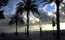 Palmeras y cielo
