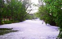 La nieve de la primavera