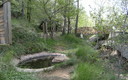 PARAJE NATURAL DE LA ALAMEDA - GATOVA - VALENCIA -