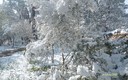En el parque ( III )