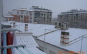 desde mi patio