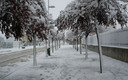 Nieve en Olvega.