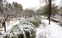 Parque Barrio Canyelles