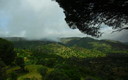 escursion a sierra morena