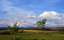 Paisaje