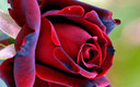 Just for you!!