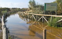 Paraje Natural Nueva Umbría