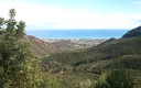 desierto de las palmas