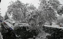 nevada 1-02-2012