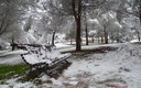 En el parque ( I )