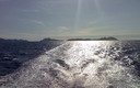 adiós Cies