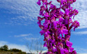Va de nubes 13/05/2012
