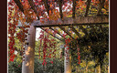 Otoño en Parque