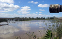 desde la albufera