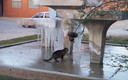 Se siente el frio?