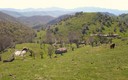 ---. SIERRA ARALAR--Primavera--1ª parte --
