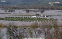 DAÑOS POR EL AGUA