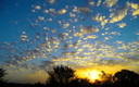 Amanecer