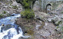 El Castañar de El Tiemblo
