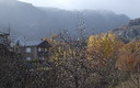 OTOÑO EN LA MONTAÑA SANABRESA