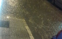 lluvia de 40 minutos