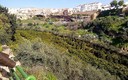 Sierra Morena y Rio Guadalquivir