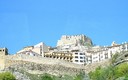 Morella