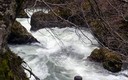 Nacedero del Urederra