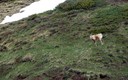 Excursión al ibón de Estanés