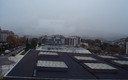 niebla