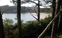 Playa de Canelas (Portonovo)