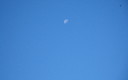 Cielo, cuarto menguante y golondrina.
