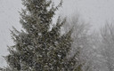 nevada en Baltanás