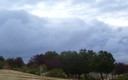 ..........TARDE GRIS.
