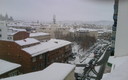 leon bajo la nieve