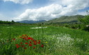Primavera que no espera