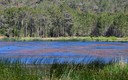 La Laguna de Talayuelas