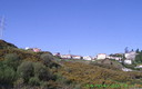 Magnifica mañana de domingo en la arboleda