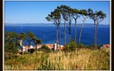 La isla de Ons (VI)