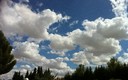 ALGODON EN EL CIELO