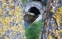 Fuente de Villalval