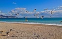 Playa de Albir