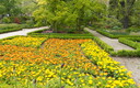 Primavera en el Jardin Botanico