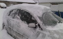nieve