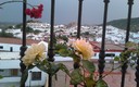 tarde de arcoiris
