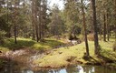 nacimiento del TAJO